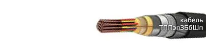 Кабель ТППэпЗБбШп 300х2х0,5