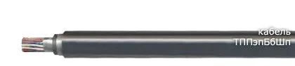 Кабель ТППэпБбШп 500х2х0,5-200