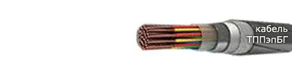 Кабель ТППэпБГ 300х2х0,5